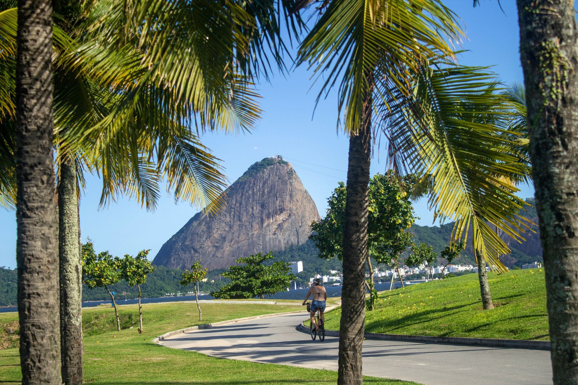 Aprazivel Rio de Janeiro Info Hub: Menu, Reservations, Tips 2026