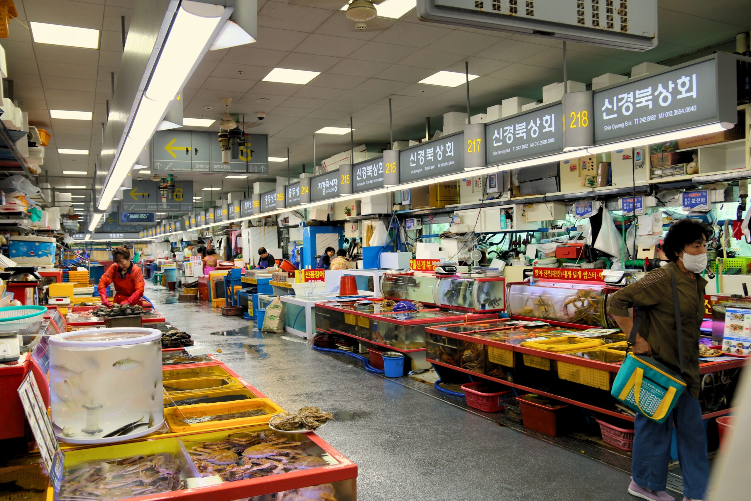 The Complete Trendy Guide to Busan Korea Cuisine: Restaurants, Cafes, and Food Markets
