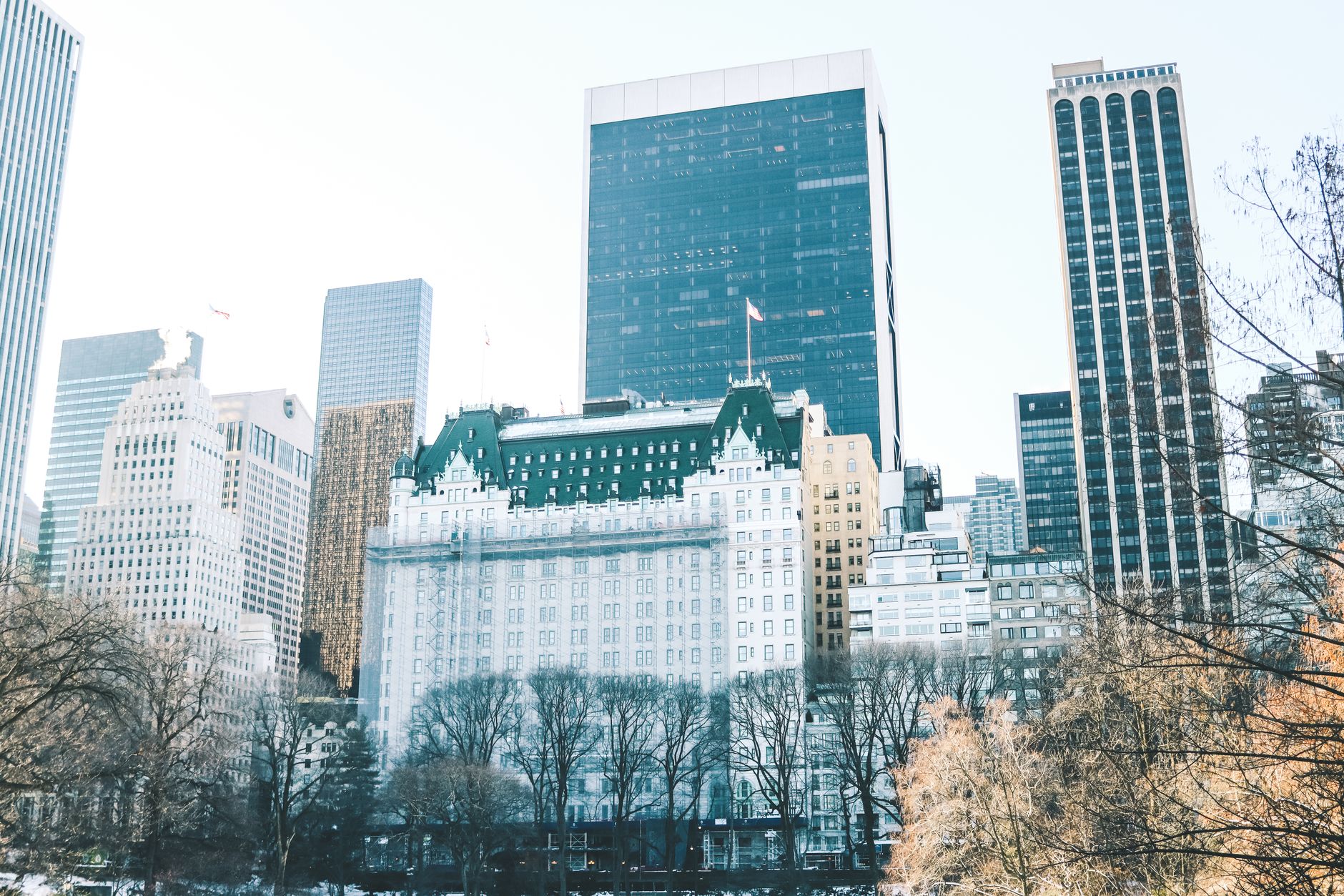 Eleven Madison Park NYC: Restoran Plant-Based Terbaik Dunia