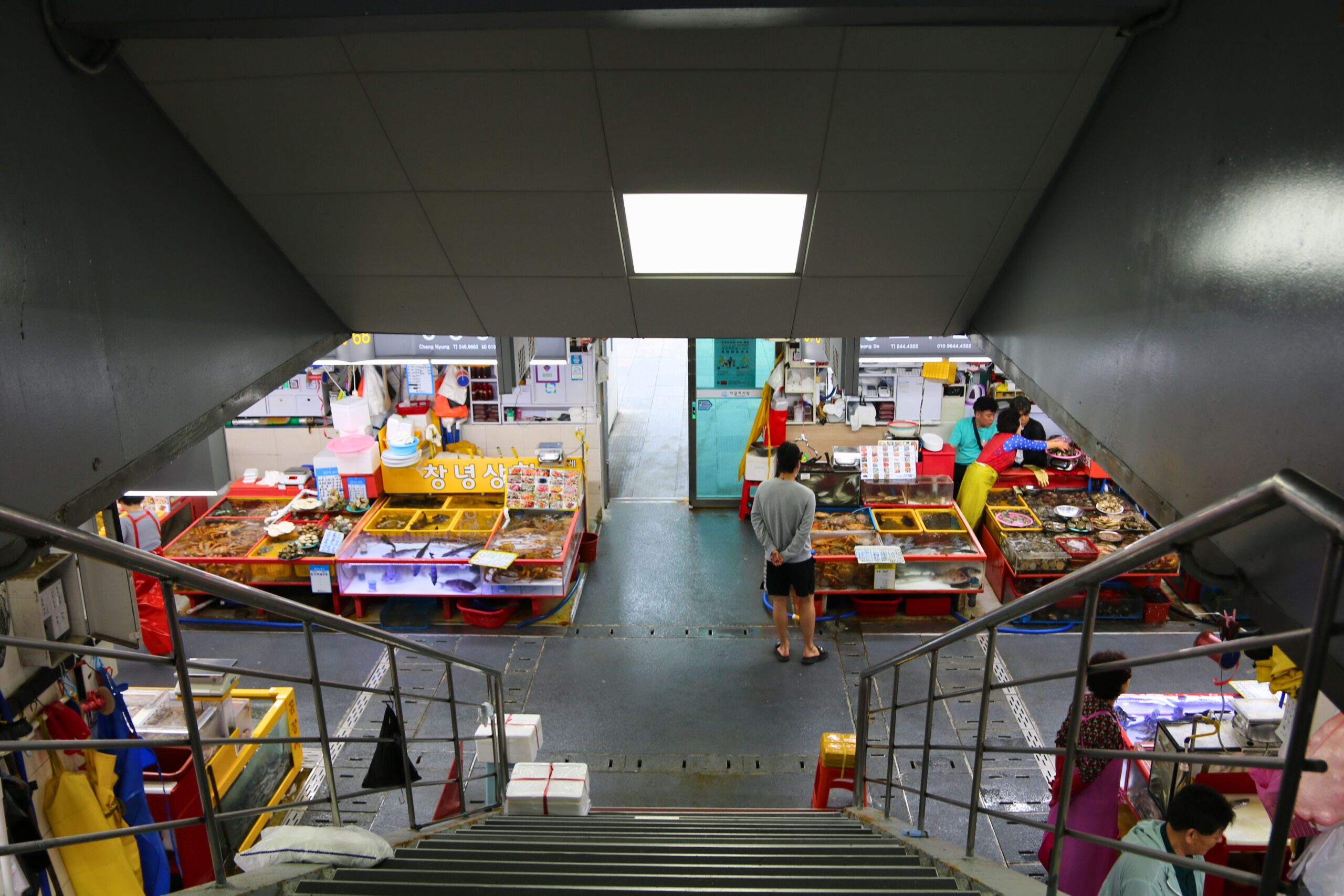 Instagrammable Guide to Jagalchi Market: Korea’s Korean Street Food Gem