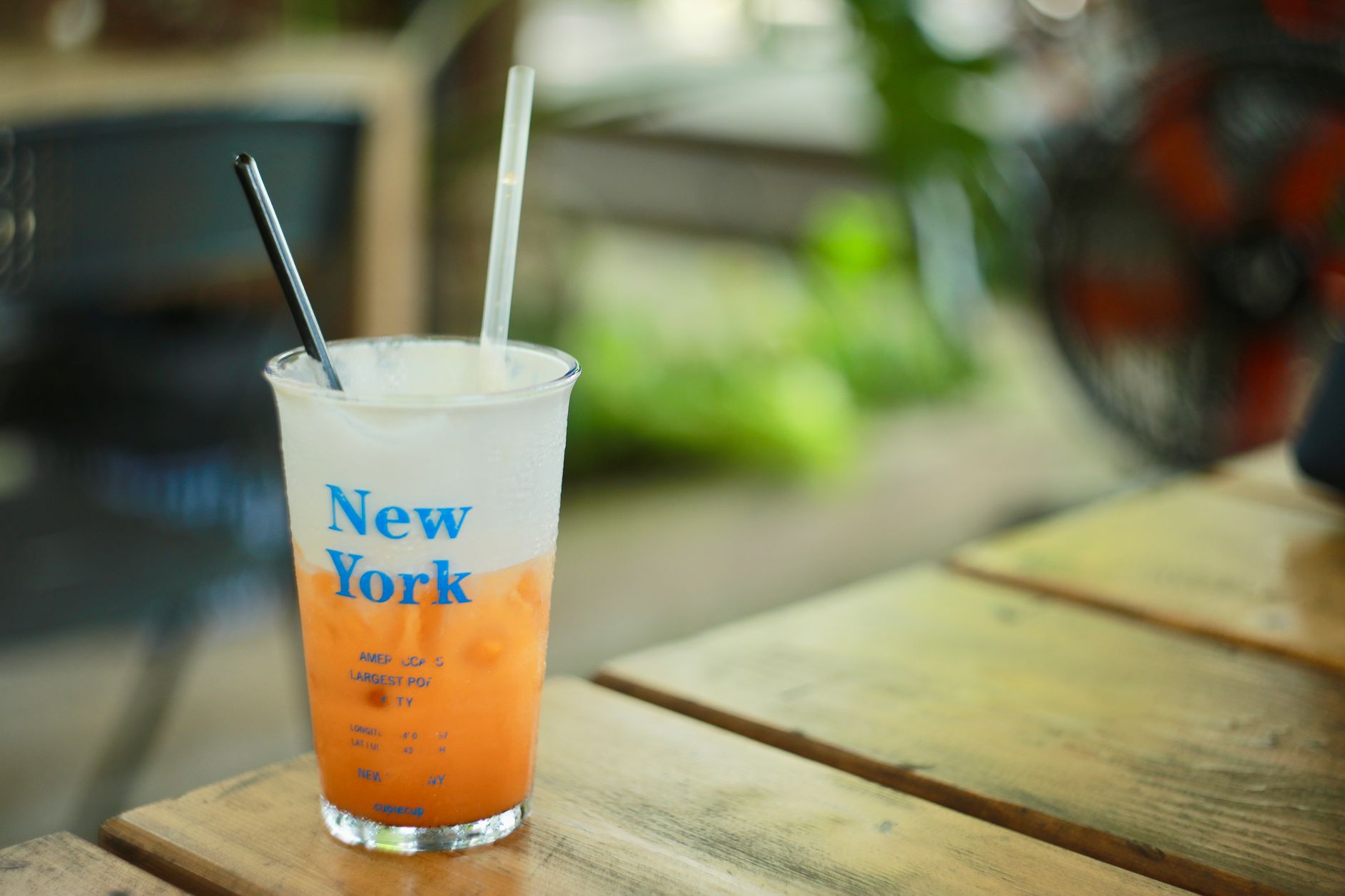 Complete MoMA Cafe New York Guide: Everything You Need