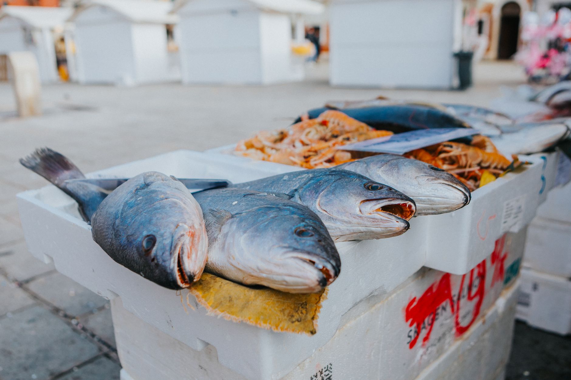 Panduan Lengkap Venice: Osteria alle Testiere, Restaurant Venetian Seafood Wajib Coba