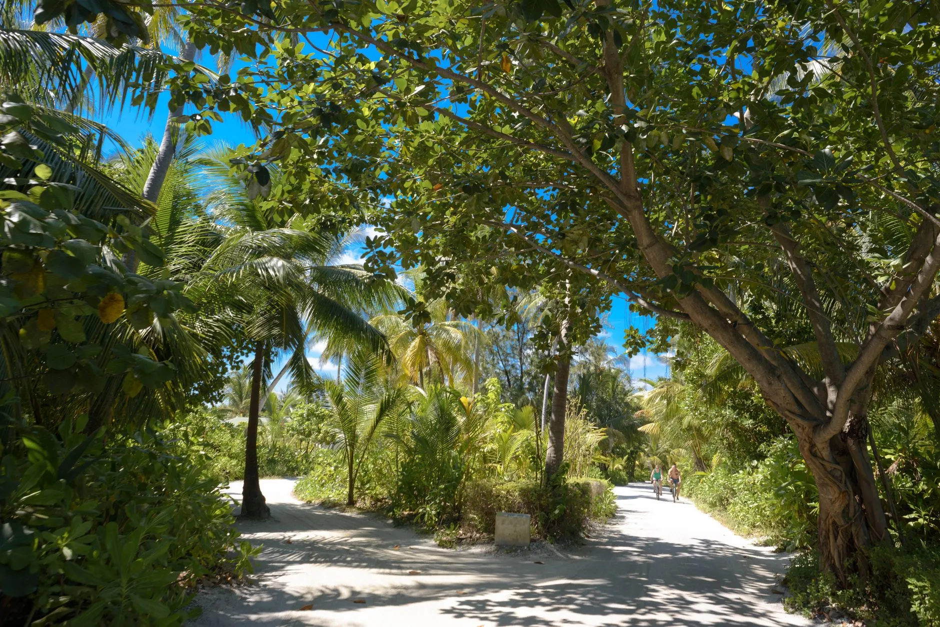 Soneva Fushi Baa Atoll: Menu, Prices, Hours & Insider Tips
