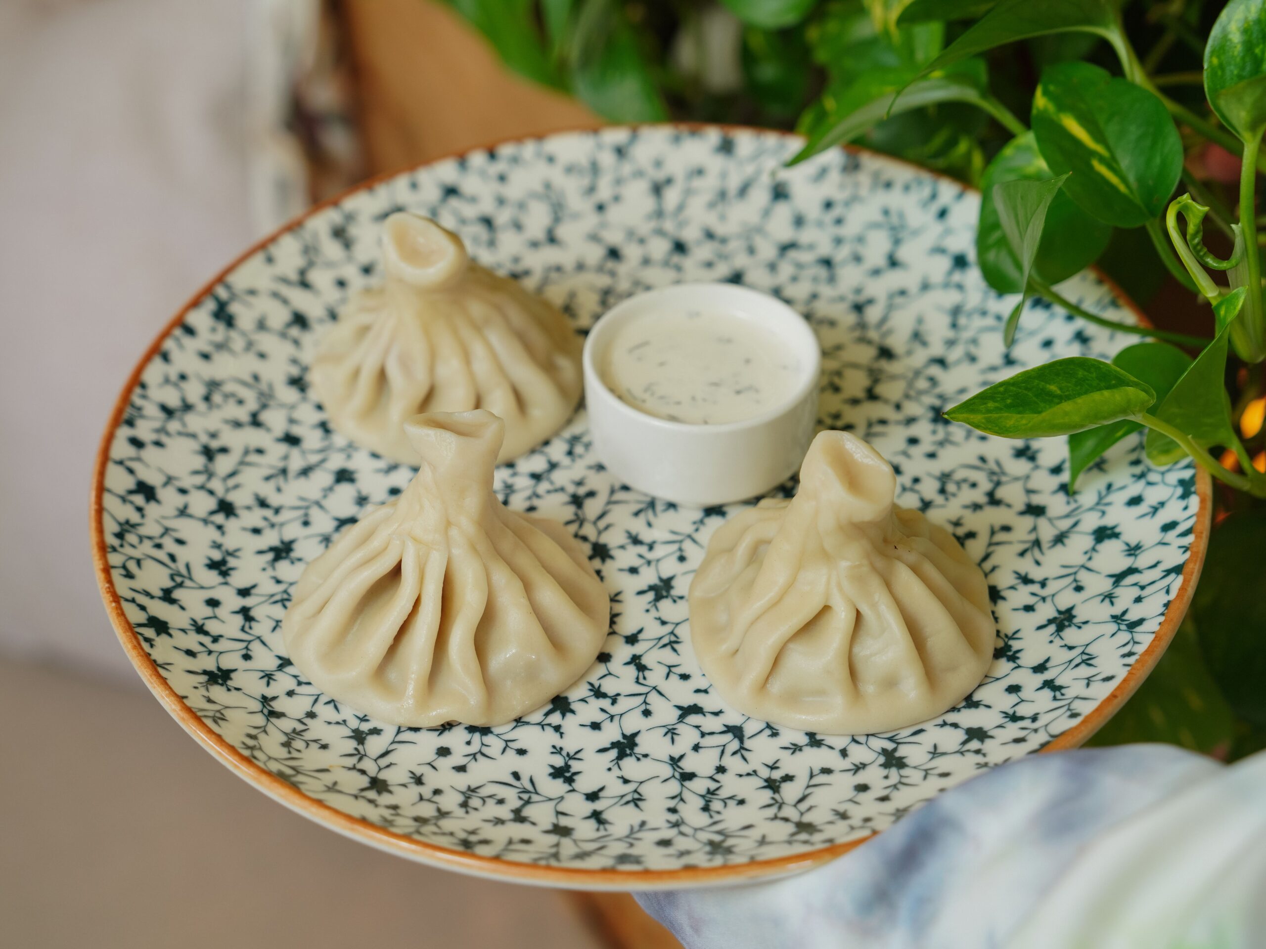 Inside Tbilisi’s Khinkali: A Comprehensive Viral Review of Georgia’s Iconic Georgian