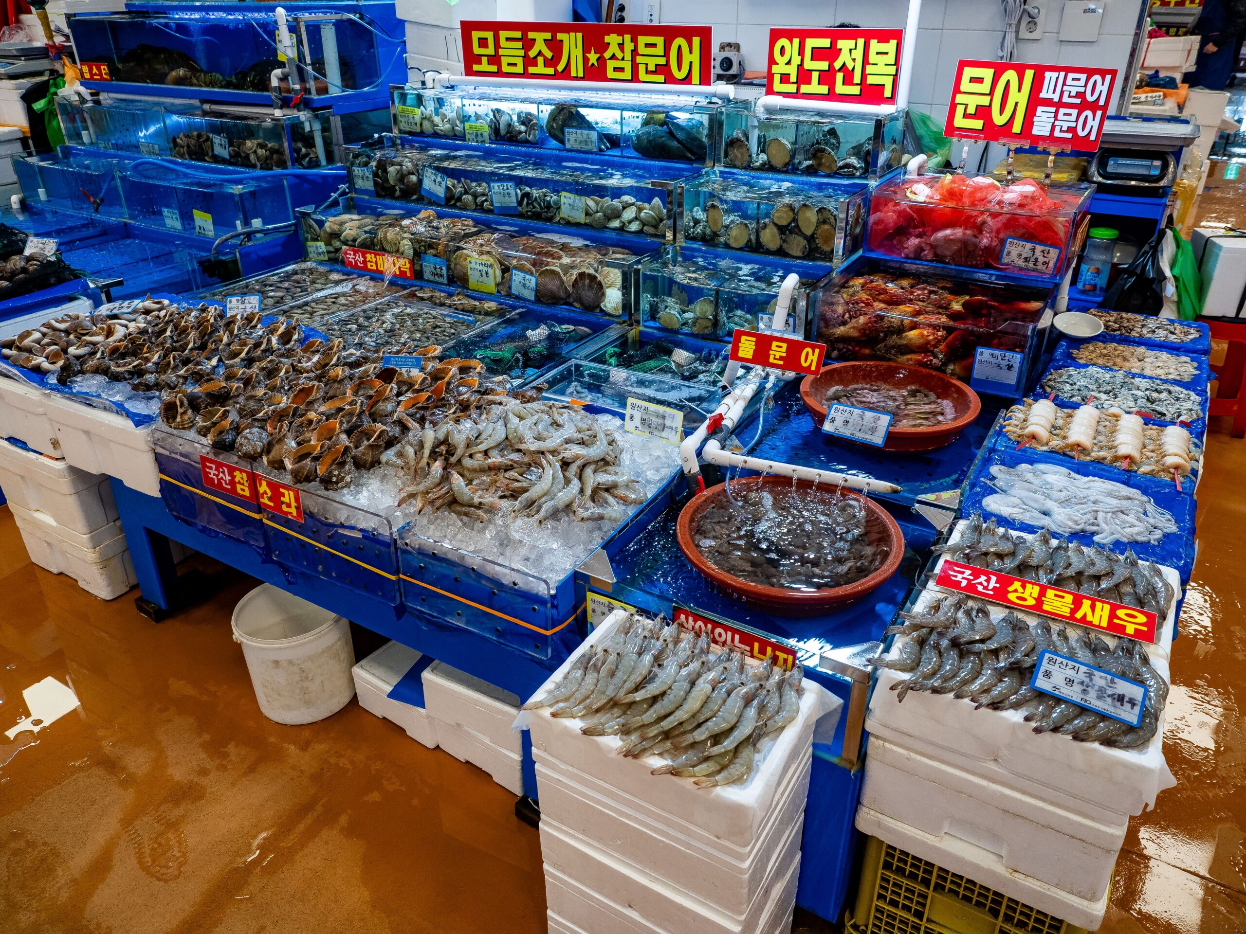 Why Food Lovers Choose Jagalchi Market: Busan Seafood Street Food in Busan, South Korea