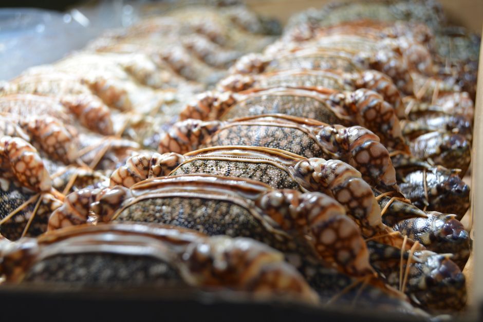 Kepiting Kenari Balikpapan Balikpapan Info: Kepiting Kenari Menu & Tips